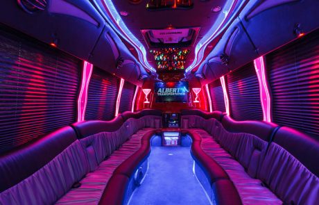 Luxury Coach for 16